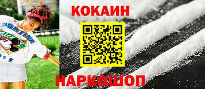 прущие грибы Сланцы