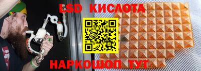 прущие грибы Сланцы