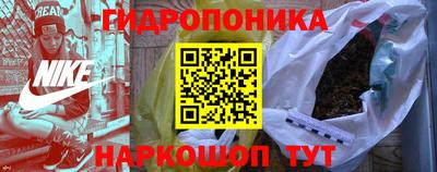 соль ск Славгород