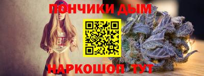 прущие грибы Сланцы
