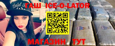 соль ск Славгород